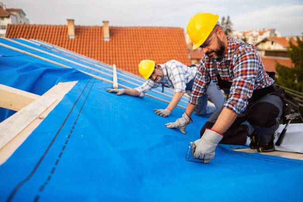 Best Gutter Installation and Roofing  in Rainbow Park, FL