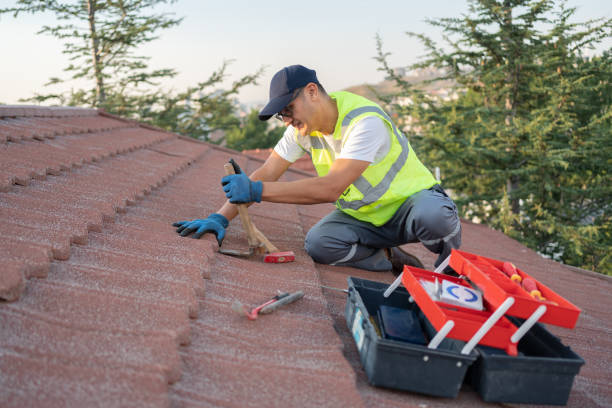 Best Roof Waterproofing Services  in Rainbow Park, FL