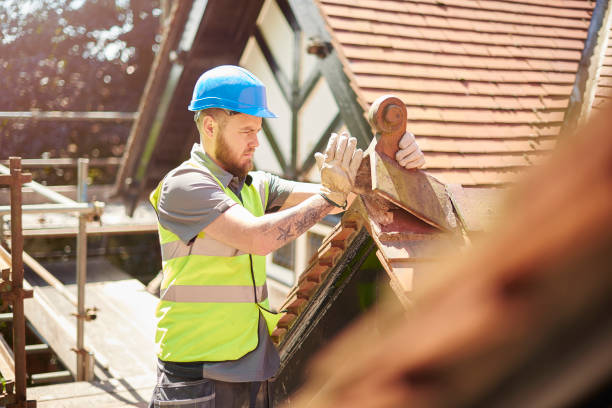 Best Commercial Roofing Services  in Rainbow Park, FL