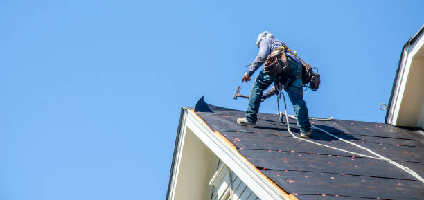 Best Roof Gutter Cleaning  in Rainbow Park, FL